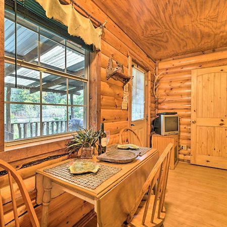 Cozy Davis Cabin With Deck - Nestled By Honey Creek! المظهر الخارجي الصورة