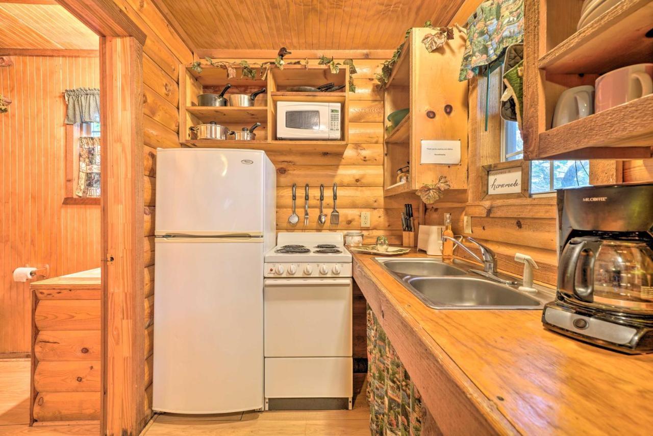 Cozy Davis Cabin With Deck - Nestled By Honey Creek! المظهر الخارجي الصورة